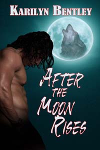 After the Mood Rises Cover Art